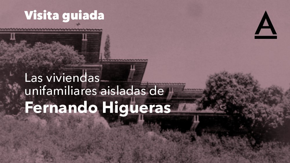 Visita guiada - Casa Lucio Muñoz: Fernando Higueras
